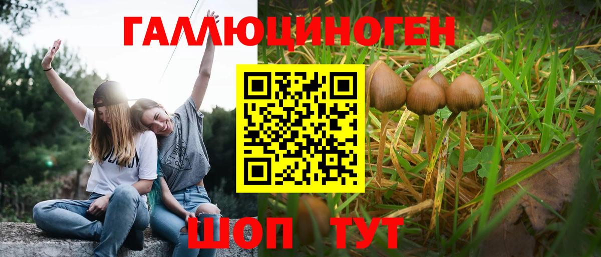 Галлюциногенные грибы MAGIC MUSHROOMS Ижевск